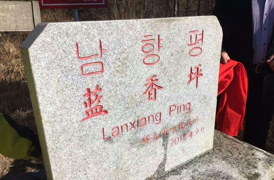 萝卜丝煎饼怎么做好吃